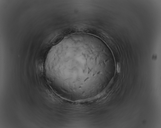 X0000091201155200708301554