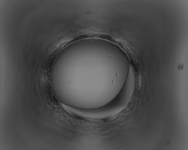 X0000091201157200708301554