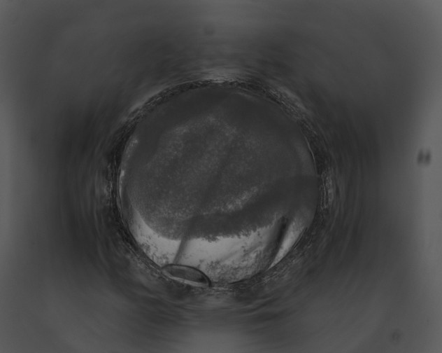 X0000091201158200708301554