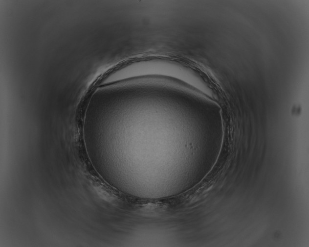X0000091201160200708301554
