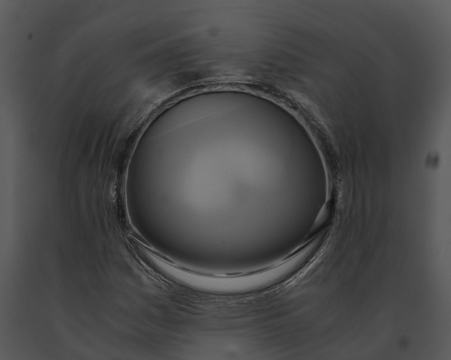 X0000091201161200708301554