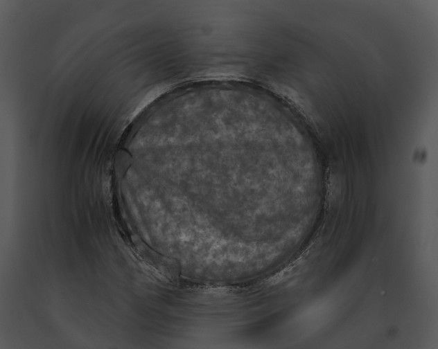 X0000091201162200708301554