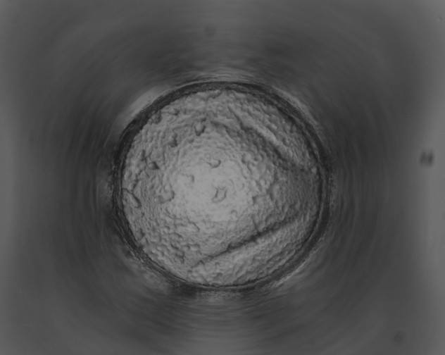 X0000091201163200708301554