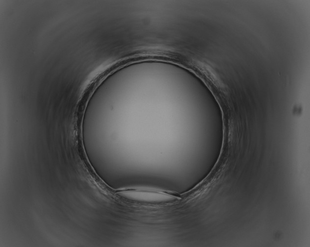X0000091201164200708301554