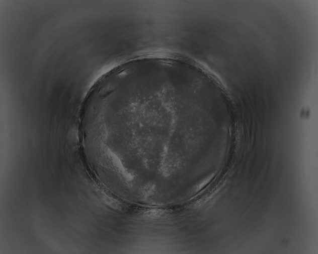 X0000091201166200708301554