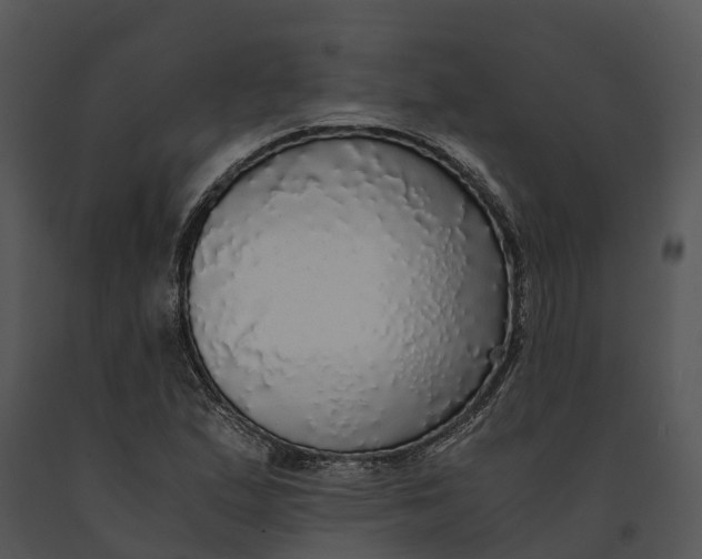 X0000091201167200708301554