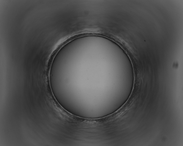X0000091201168200708301554
