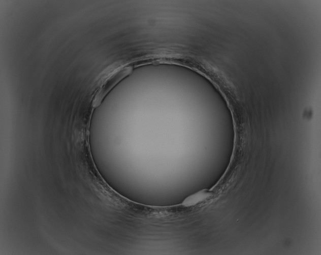 X0000091201169200708301554