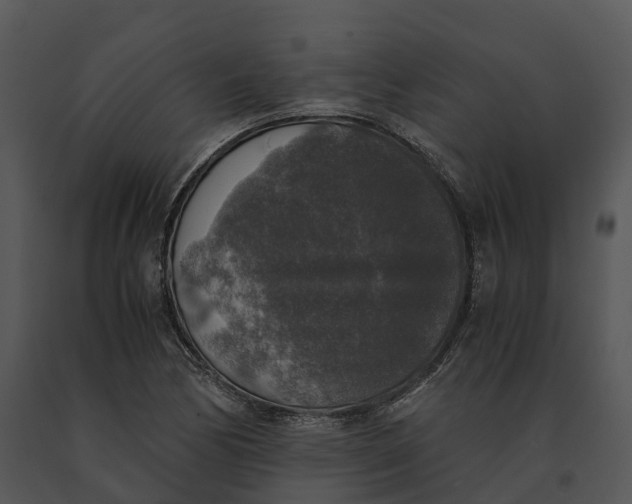 X0000091201170200708301554
