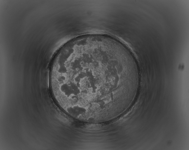 X0000091201171200708301554
