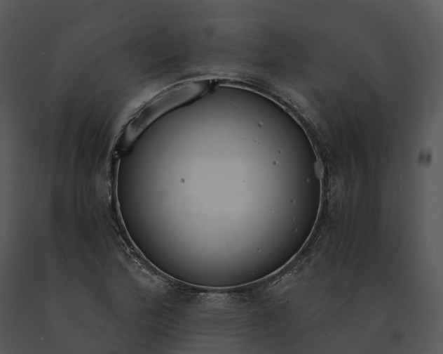 X0000091201172200708301554