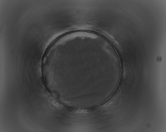 X0000091201174200708301554