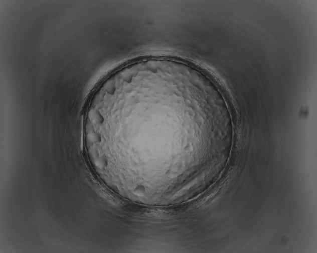X0000091201175200708301554
