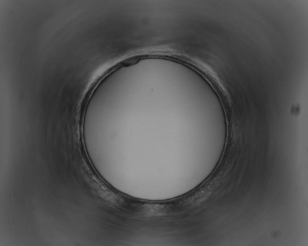 X0000091201176200708301554