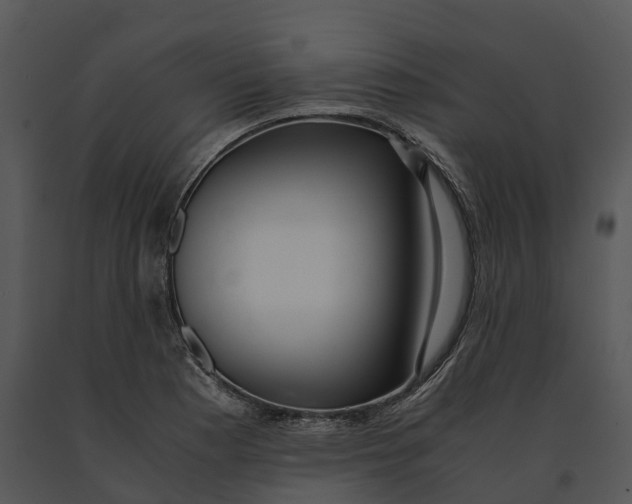 X0000091201177200708301554