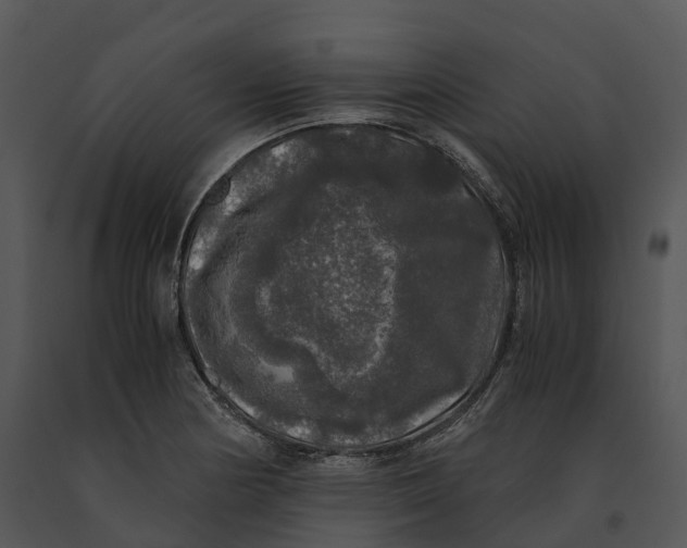 X0000091201178200708301554