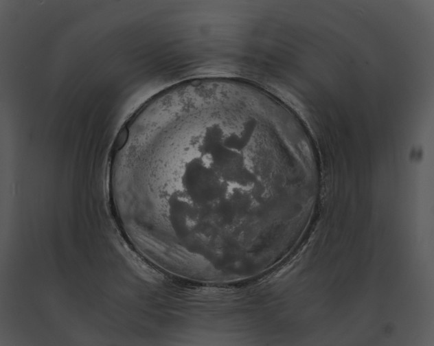 X0000091201179200708301554