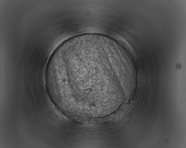 X0000091201182200708301554