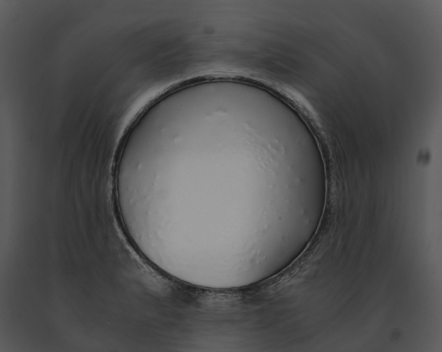 X0000091201183200708301554