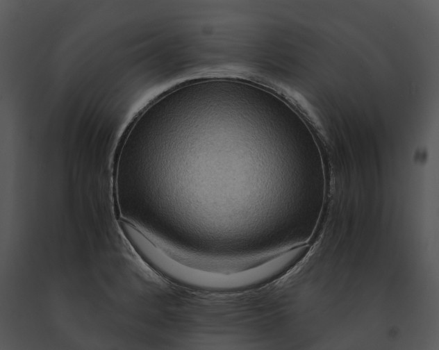 X0000091201184200708301554