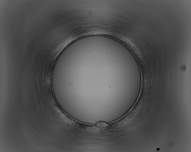 X0000091201185200708301554