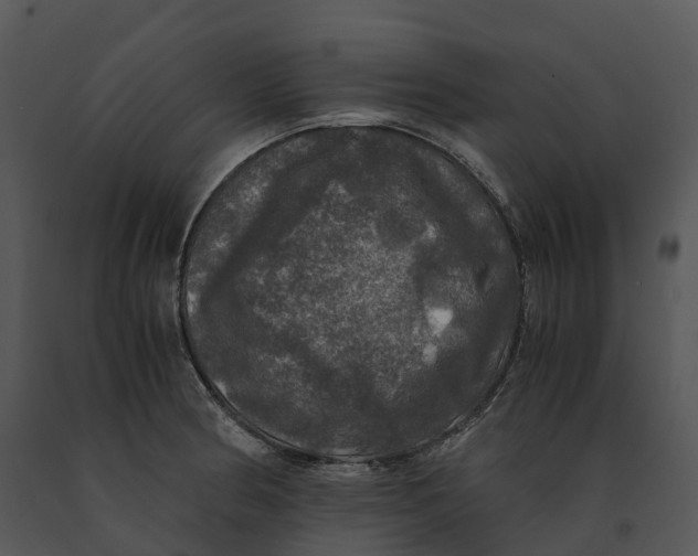 X0000091201186200708301554