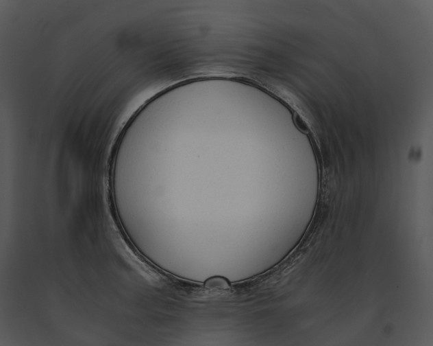 X0000091201187200708301554