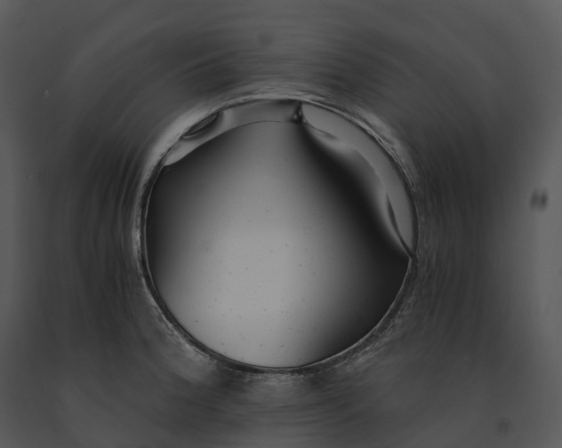 X0000091201188200708301554