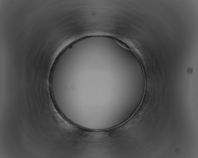 X0000091201189200708301554