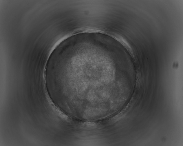 X0000091201190200708301554