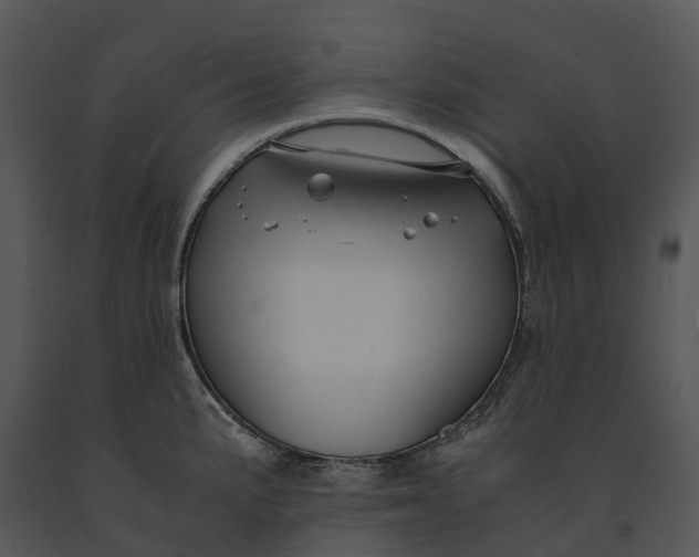 X0000091201191200708301554