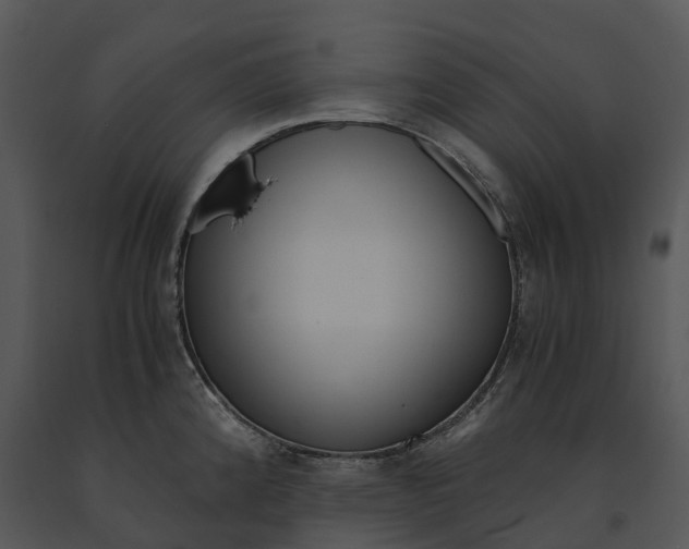 X0000091201192200708301554