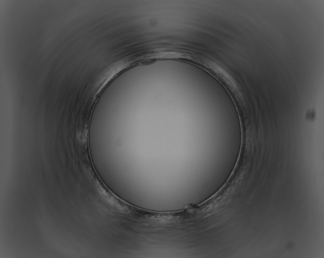 X0000091201193200708301554