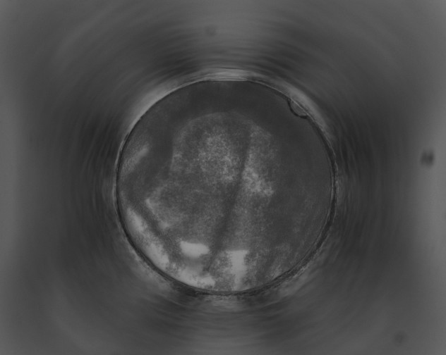 X0000091201194200708301554
