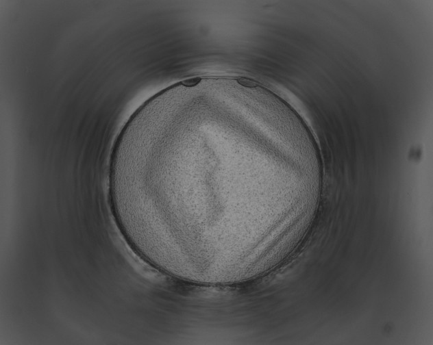 X0000091201195200708301554