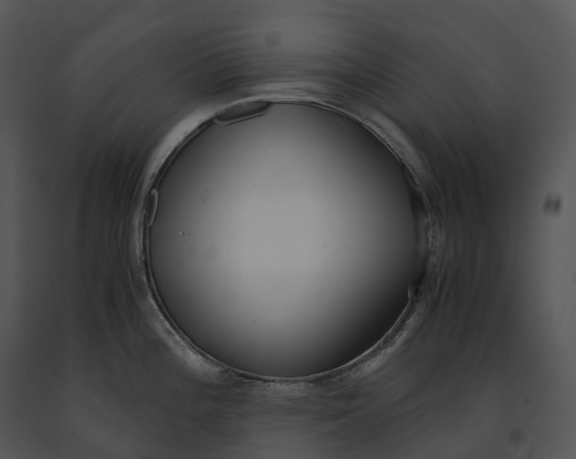 X0000091201196200708301554