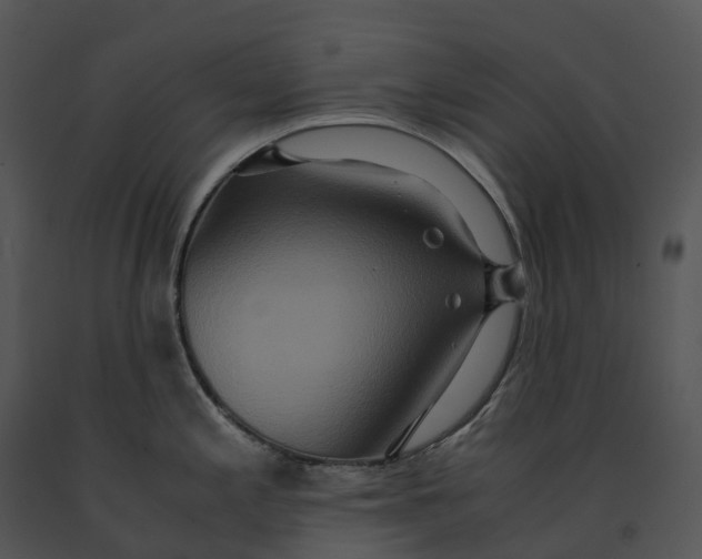X0000091201197200708301554