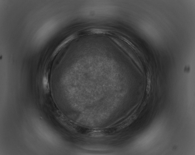 X0000091201198200708301554