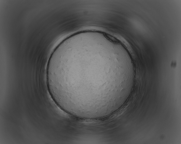 X0000091201199200708301554