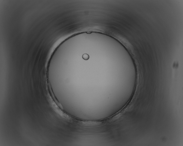 X0000091201200200708301554