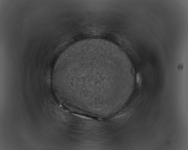 X0000091201203200708301553