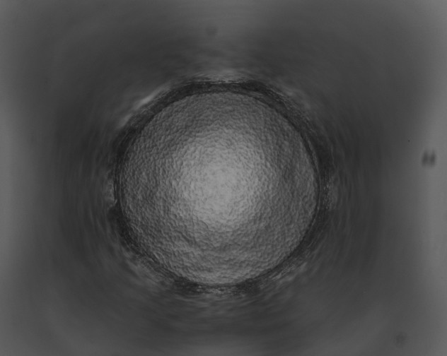 X0000091201205200708301553
