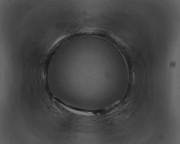 X0000091201206200708301553