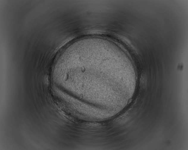 X0000091201209200708301553