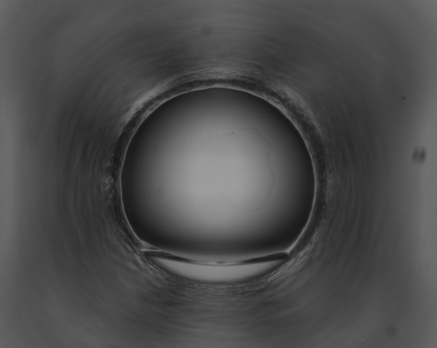 X0000091201210200708301553
