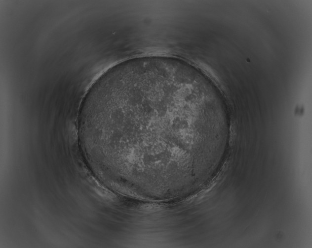 X0000091201212200708301553