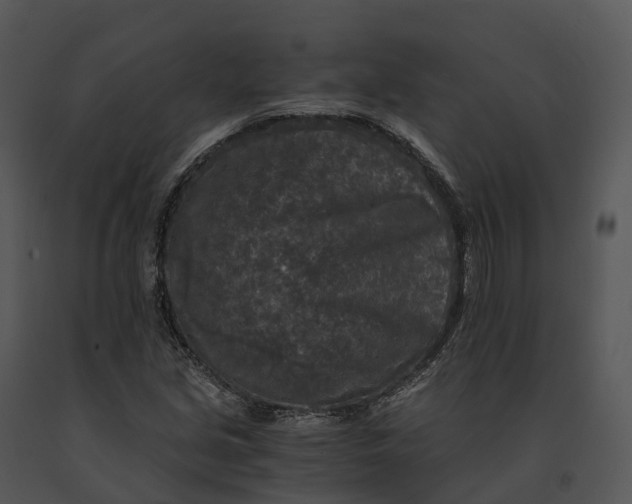 X0000091201213200708301553