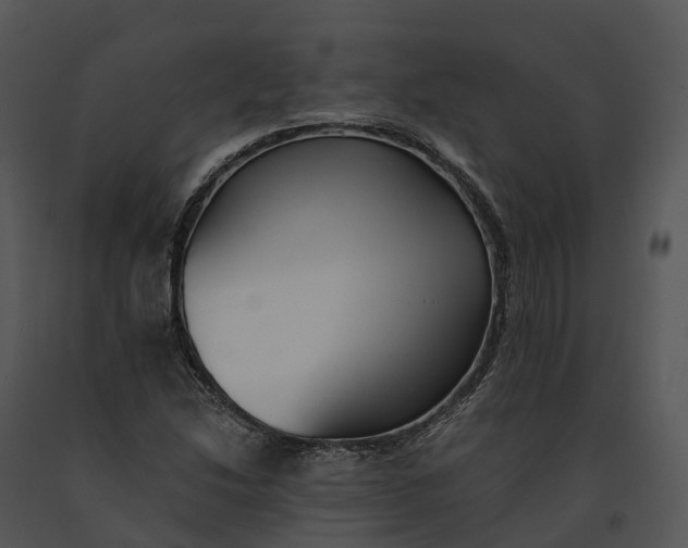 X0000091201214200708301553
