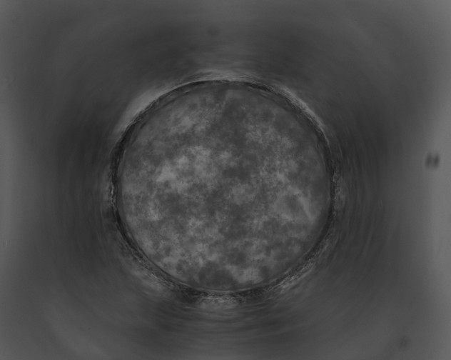 X0000091201215200708301553