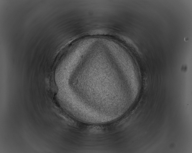 X0000091201217200708301554